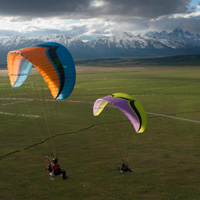 paragliders